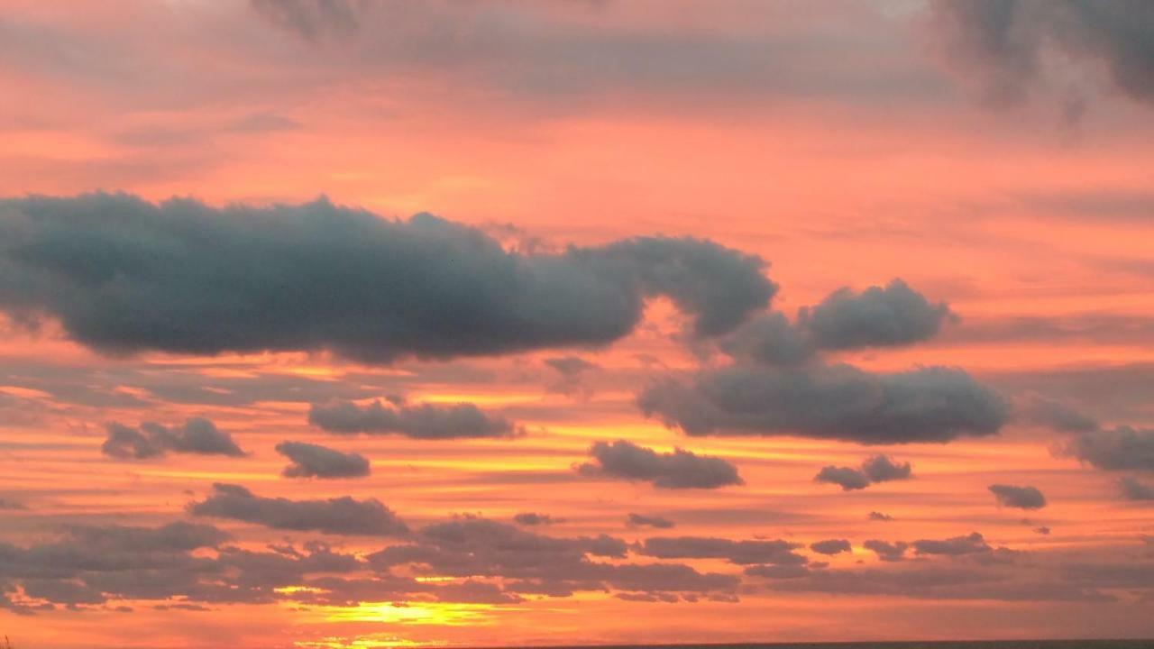 Malibu Beach Koksijde Exteriör bild