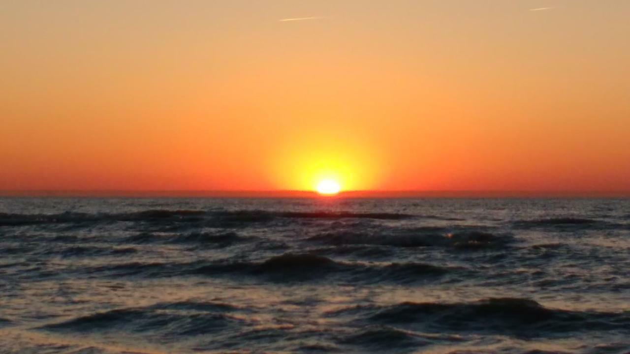 Malibu Beach Koksijde Exteriör bild